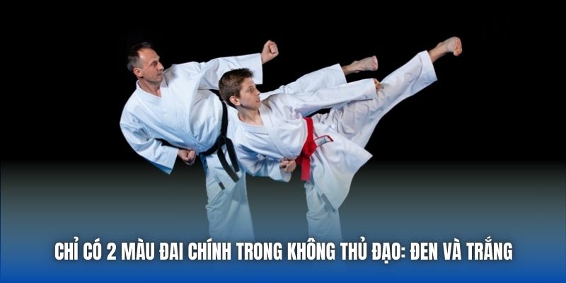 Chỉ có 2 màu đai chính trong Không Thủ Đạo: đen và trắng