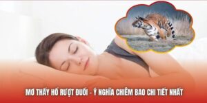 Mơ Thấy Hổ Rượt Đuổi - Ý Nghĩa Chiêm Bao Chi Tiết Nhất