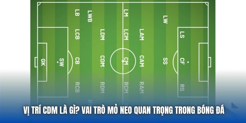 Vị Trí CDM Là Gì? Vai Trò Mỏ Neo Quan Trọng Trong Bóng Đá