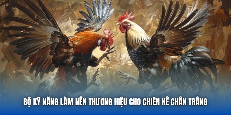 Bộ kỹ năng làm nên thương hiệu cho chiến kê chân trắng 