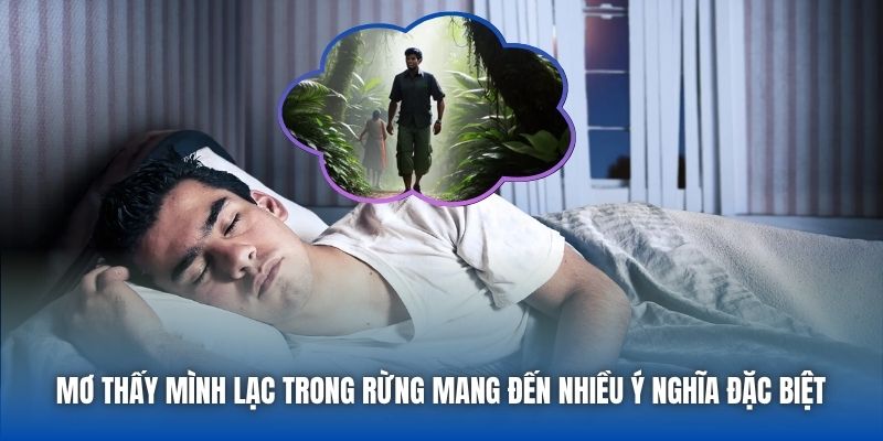 Mơ thấy mình lạc trong rừng mang đến nhiều ý nghĩa đặc biệt