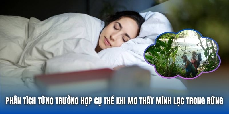 Phân tích từng trường hợp cụ thể khi mơ thấy mình lạc trong rừng
